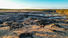 Zimbabwe-Victoria Falls-Zambezi National Park & Victoria Falls Safari Ride